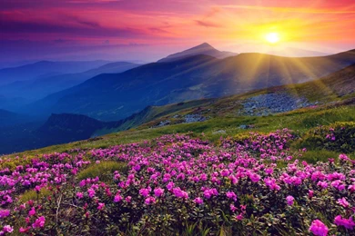 Bora Bora Scenery HD