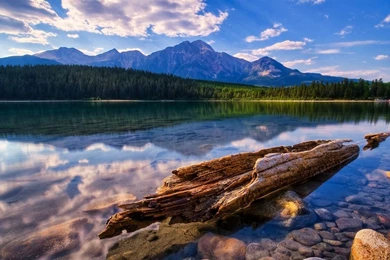 Magnificent Summer Scenery HD