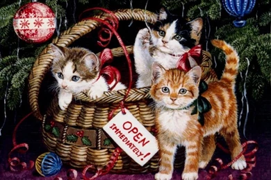 Download Free Christmas Wallpapers