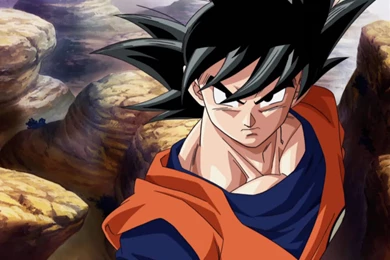 Son Goku Wallpapers   Wallpapers Cave