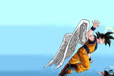 Dragon Ball Son Goku Wings Hd Wallpapers   (