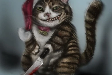 Crazy Cat By Mrahart On DeviantArt