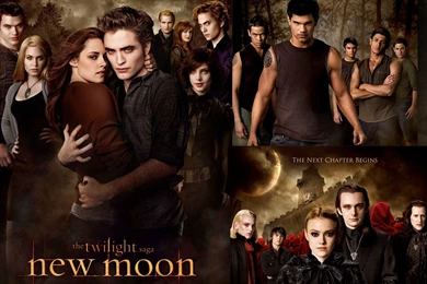 New Moon Wallpapers 3   Twilight Series Wallpapers (8394298)   Fanpop