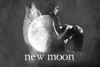 New Moon Wallpapers   Twilight Series Wallpapers (3125665)   Fanpop