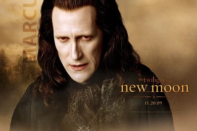 Official New Moon Wallpapers   Twilight Series Wallpapers (9272899 ...