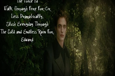Edward In New Moon   Twilight Series Wallpapers (17700544)   Fanpop