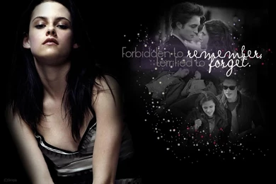 Twilight New MoOn Wallpapers   Photo 16 Of 22