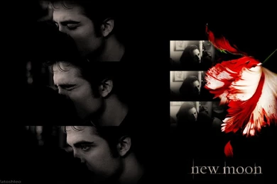 New Moon Wallpapers   New Moon Movie Wallpapers (23858338)   Fanpop