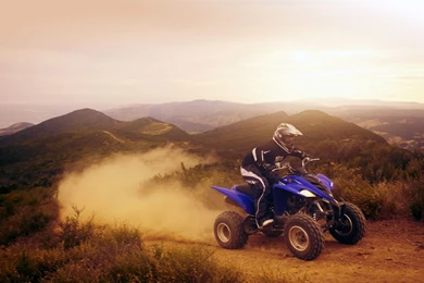 2011_Yamaha_Raptor_350_ATV pictures_2.jpg