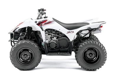 2010 YAMAHA Wolverine 450 4x4 ATV wallpapers_3.jpg