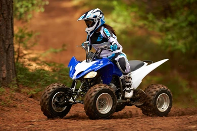 YAMAHA RAPTOR Atv Quad Offroad Motorbike Bike Dirtbike Ew ...
