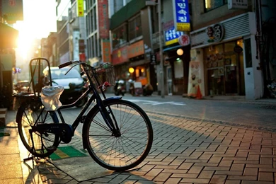 Free Wallpicz: Unique Desktop Wallpapers Hd