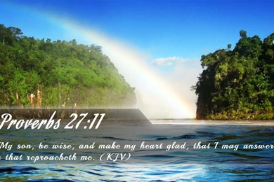 Nook Wallpapers   Free Nook Wallpapers HD 12