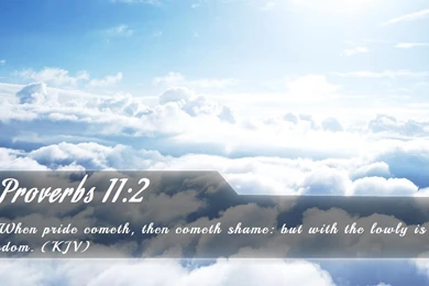 Nook Wallpapers   Free Nook Wallpapers HD 5