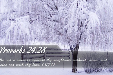 Nook Wallpapers   Free Nook Wallpapers HD 6