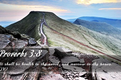 Nook Wallpapers   Free Nook Wallpapers HD 18