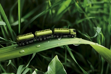 Latest Random Amazing Wallpapers 2015