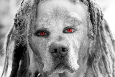 Foto Click: Unique Wallpapers Hd