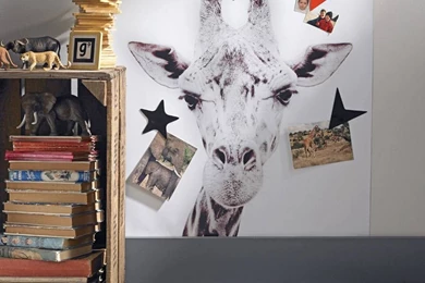 Giraffe Printed Magnetic Wallpapers By Sisters Guild ...