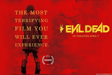 Evil Dead Wallpapers   (1440x900) : MovieWallpapers101.com