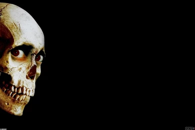 Evil Dead 2 Wallpapers 231269