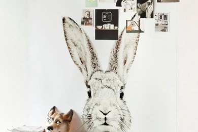 Printed Vinyl Bunny Wallpapers With Magnetic Surface   LargeThe ...