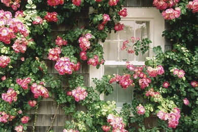 Country Cottage Wallpapers 15270 On We Heart It  ... / Beauty To Me