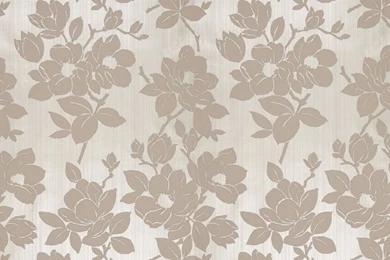 Rose Taupe Wallpapers