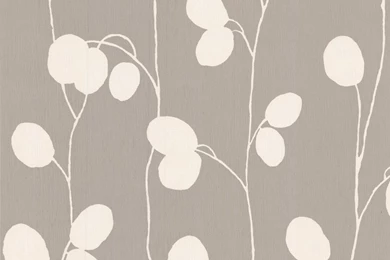 Honesty: Taupe Wallpapers   Designer Wallcovering   Designer ...