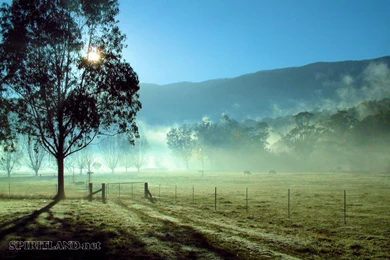 SPIRITLAND.net   Top Photos 2