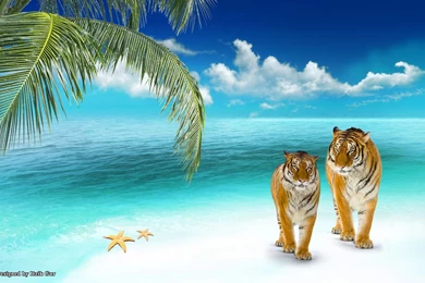 Best Beaches HD Wallpapers.jpg