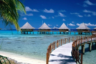 Most Downloaded Wallpapers Desktop Archives   Free Desktop ...