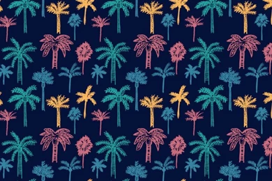 Multicolored Palm Trees Whatsapp Wallpapers   Floral Whatsapp Chat ...