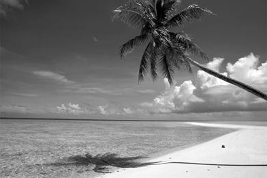 Most Beautiful Beaches Around World