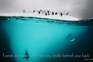 Friendship Quotes Whatsapp Wallpaper Images  AtozWallpapers