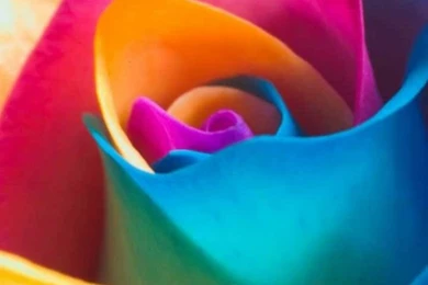 WhatsApp Beautiful Wallpapers 001.jpg