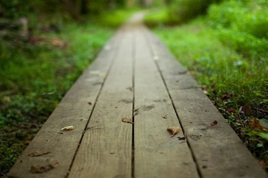 Best Blog Wallpapers: Home Wallpapers