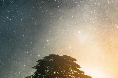 Got Any Cool iPhone 5 Wallpapers? : Poppunkers