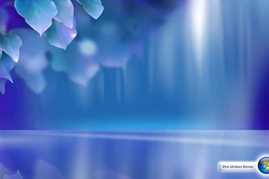 Windows_vista_wallpaper_16 1280x800.jpg