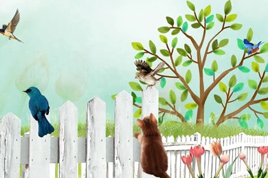 Birds Watch >> HD Wallpaper, Get It Now!