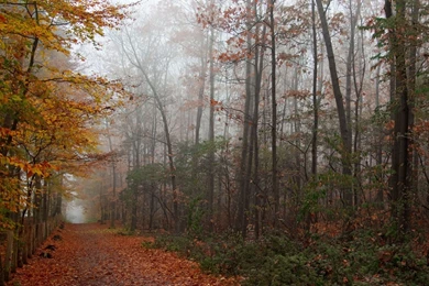 Beautiful Backgrounds Wallpapers Hd (18)