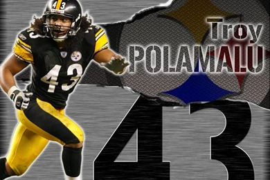 Troy Polumalu   Pittsburgh Steelers
