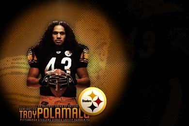 Troy Polamalu Quotes. QuotesGram