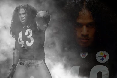 Troy polamalu 4.jpg