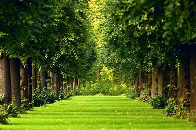 Landscape wallpapers 9.jpg   IHD Wallpapers.com   High Definition ...