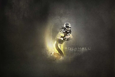 Troy Polamalu Wallpapers Pittsburgh Steelers Wallpapers 1280x800 ...