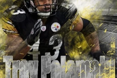 Troy Polamalu Madden Custom Cover By RushLightInvader On DeviantArt