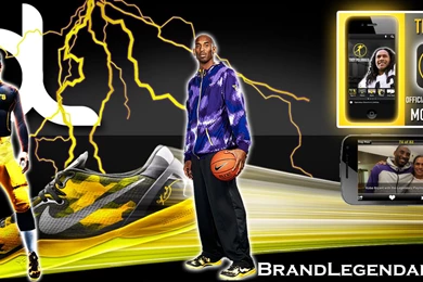 Troy Polamalu Kobe 8 Basketball Wallpapers 2012   Streetball