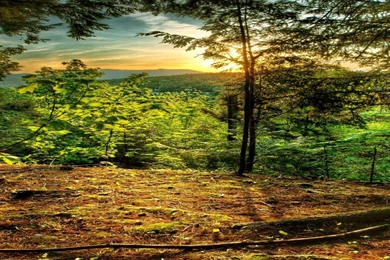 Awesome Dual Monitor Wallpapers