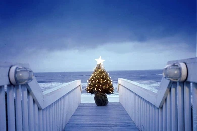 Best Desktop HD Wallpapers   Christmas Lights Wallpapers